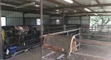 Livestock Facility