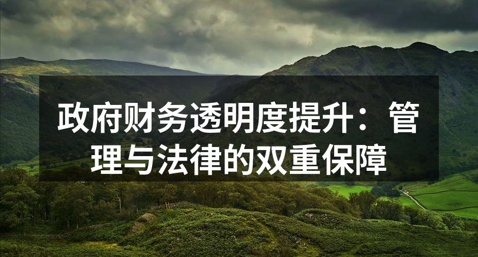 政府财务透明度提升：管理与法律的双重保障