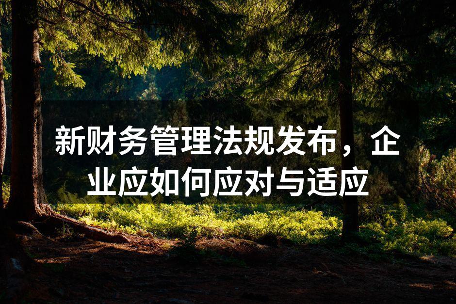 新财务管理法规发布，企业应如何应对与适应