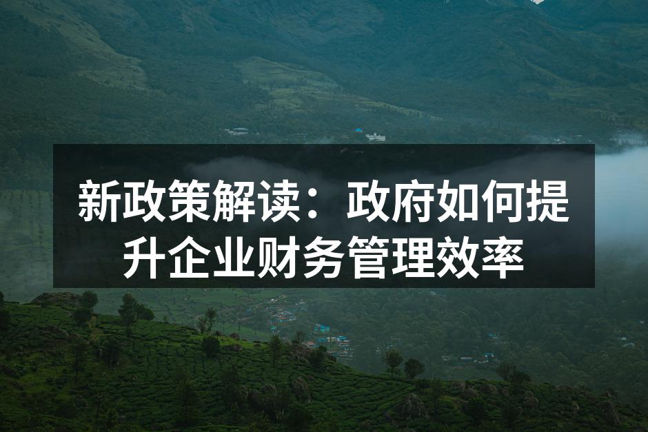 新政策解读：政府如何提升企业财务管理效率