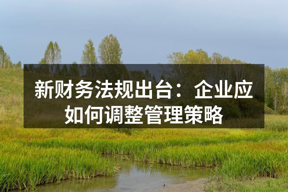 新财务法规出台：企业应如何调整管理策略